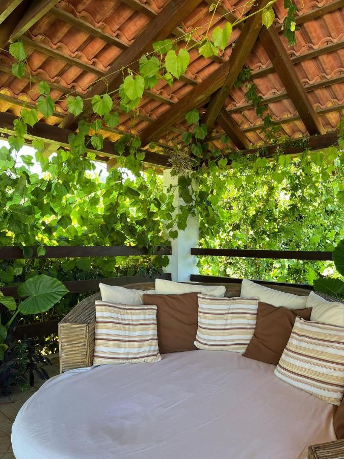 Gorana With Swimming Pool Jelsa (Hvar)